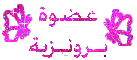 عضوة برونزية عضوة برونزية