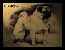 LeCarlin