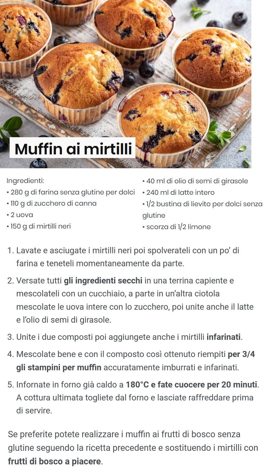 muffin24.jpg