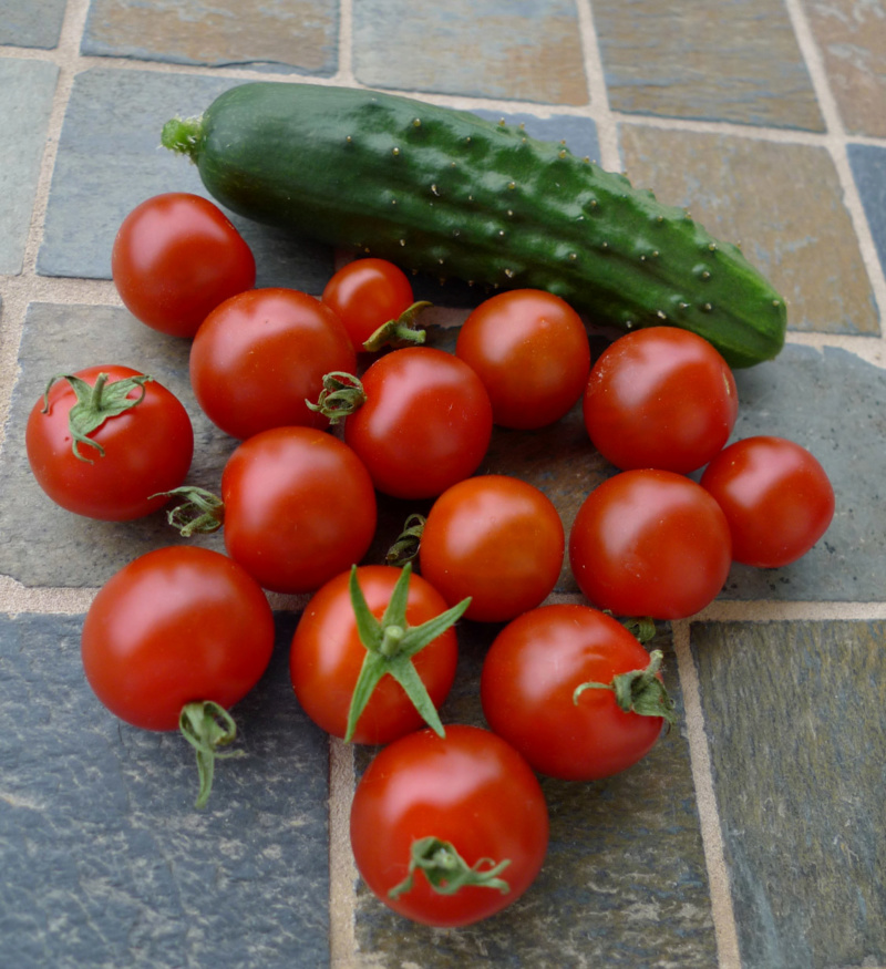 tomate30.jpg